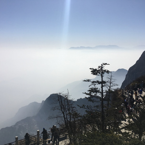 天美果冻无码视频
